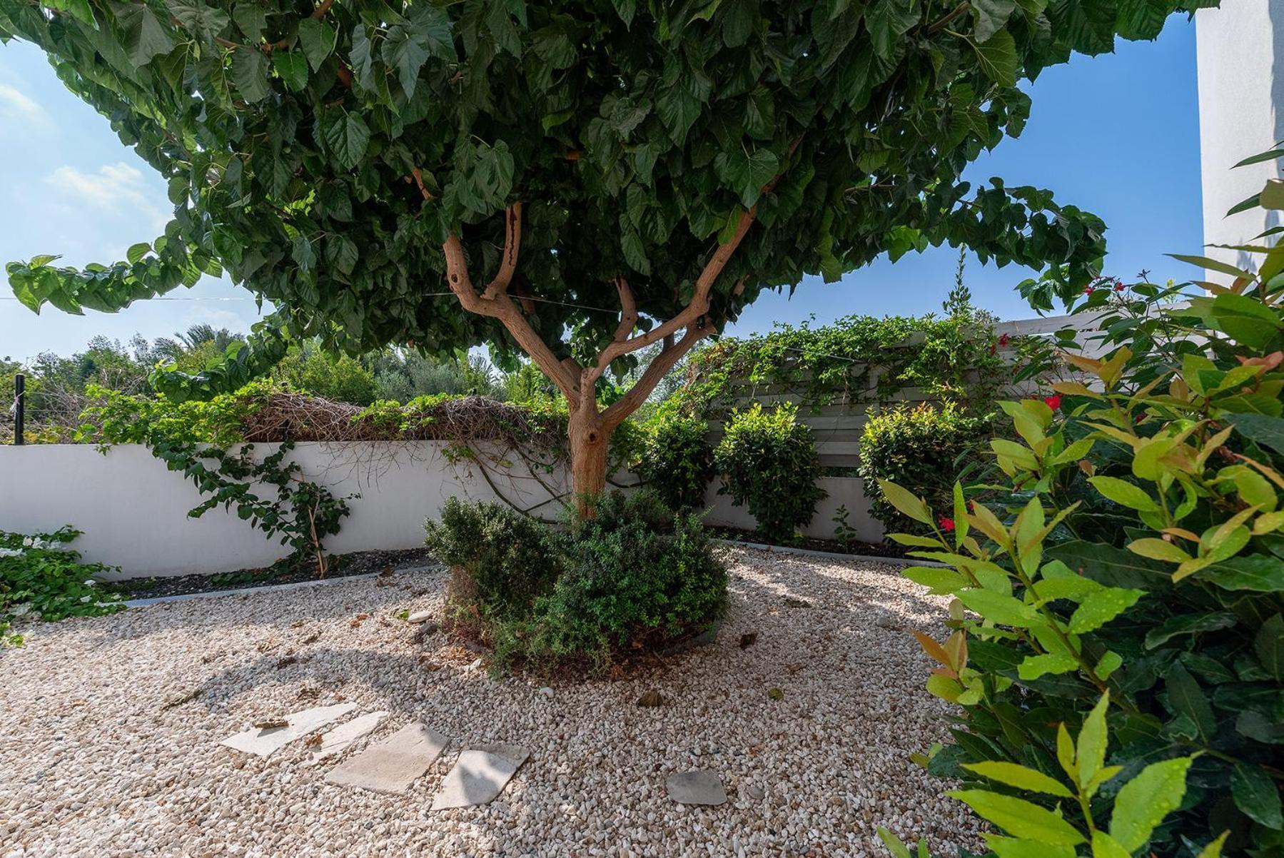 Blue Diamond Beach Villas Paphos Exterior photo